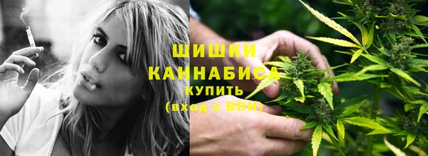 трава Арсеньев