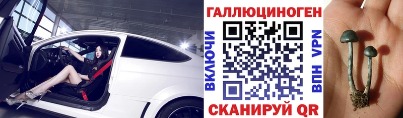 OMG как зайти  цена наркотик  Армянск  Псилоцибиновые грибы Psilocybe 