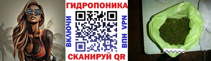 Канабис тримм  OMG как зайти  Армянск 
